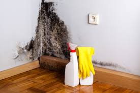 Dehumidification Services in South Zanesville, OH